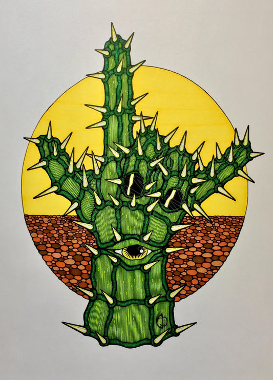 Cactus Practice