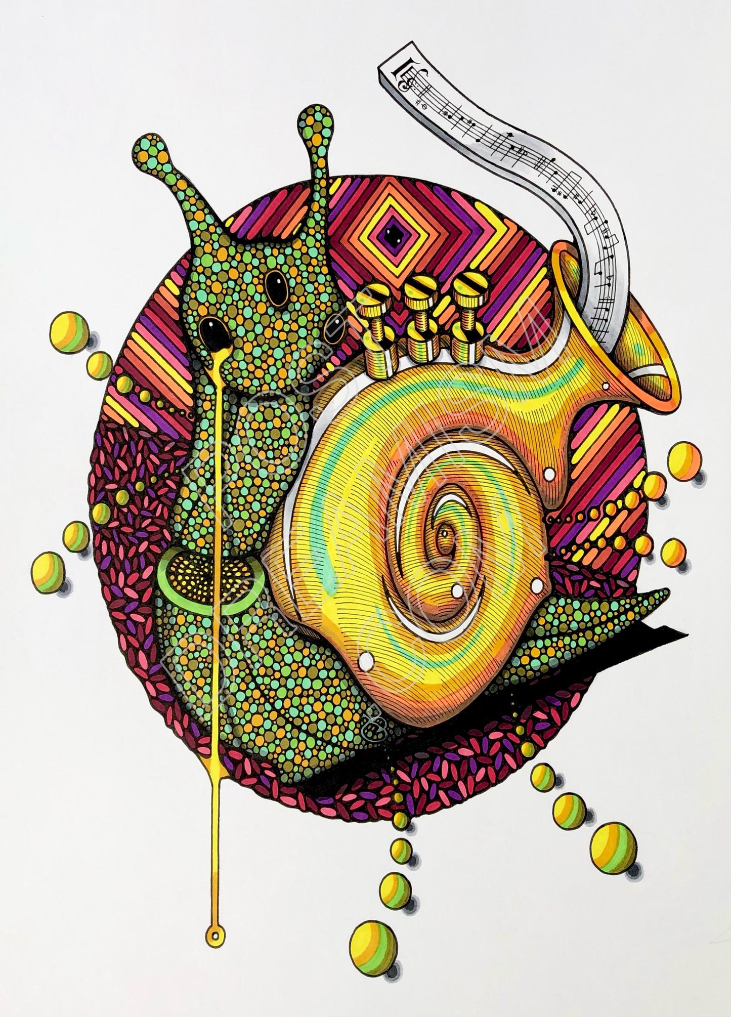 Snail Trumpet