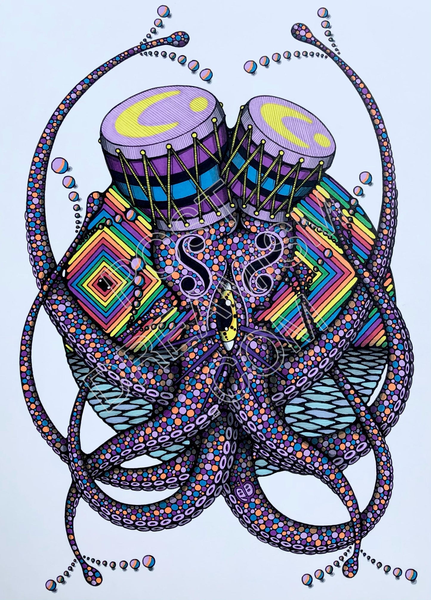 Bongo Octopus